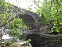 Loch Ness - Invermoriston Bridge