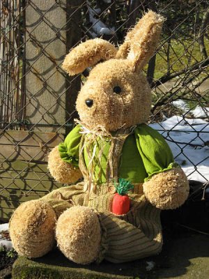 Gemeindehase