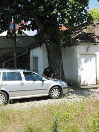 Der Baumkontrolleur notiert