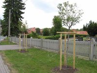 Am Friedhof