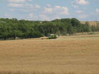 Erntebeginn 2018