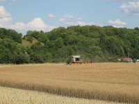 Erntebeginn 2018