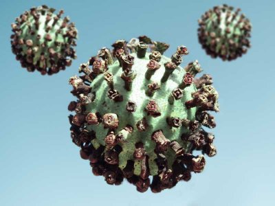 Coronavirus