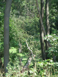 Unwetterschäden in Hochstedt