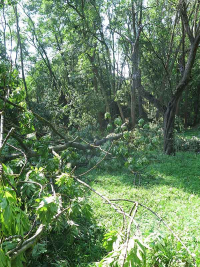 Unwetterschäden in Hochstedt