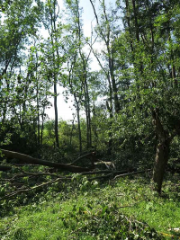 Unwetterschäden in Hochstedt