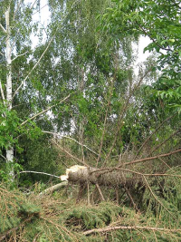 Unwetterschäden in Hochstedt