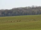 Bild des Monats 2008