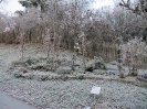 Bild des Monats 2011
