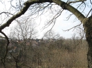 2007 kommt der Frühling ...