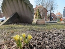 Endlich Fruehling