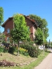 Irisbluete am Buergerhaus