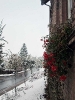 Winter im Herbst