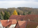 Blick zum Weinberg