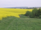 Blick nach Mönchenholzhausen - 2006