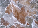 Überbleibsel