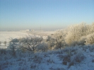 Blick vom Weinberg ...