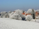 Frostig