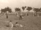 Der Fußballplatz zwischen Hochstedt und Vieselbach