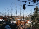 Aussicht von der Kirche in's Dorf