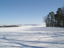 Aussicht vom Weinberg zum Ettersberg