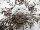 Winteransichten