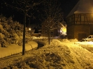 Tiefschnee am Waidgarten
