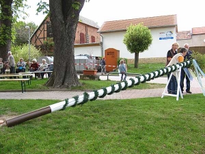 Der Maibaum