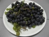 Weinlese