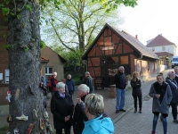Maibaumsetzen