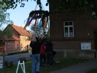 Maibaumsetzen