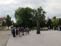 Stadtführung in Bamberg