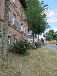 Dürrebild am 27.6.2018