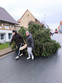 Weihnachtsbaumsetzen 2025