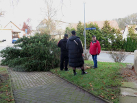 Weihnachtsbaumsetzen 2025