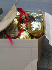 Weihnachtsbaumsetzen 2025