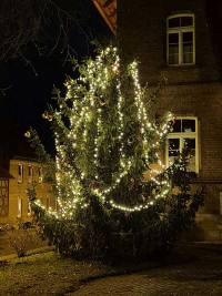 Weihnachtsbaumsetzen 2025