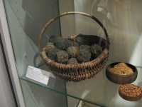 Hochstedter Waidballen
