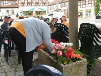Blumenpflege