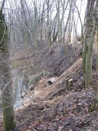 Bachbett am 13.2.2011