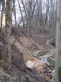 Bachbett am 13.2.2011