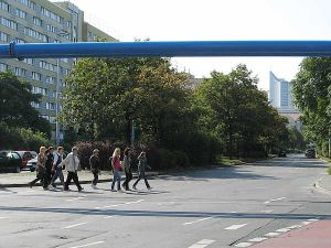 Auf dem Weg in den Zoo
