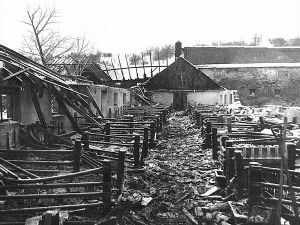 Schweinestall nach dem Brand