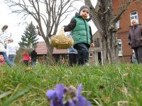 Ostereiersuche zwischen Veilchen