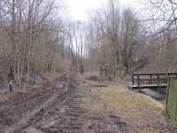 Bach am 10. März 2013