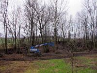 Bach am 10. März 2013