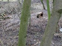 Bach am 10. März 2013