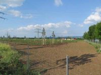 Grünzug am Umspannwerk Hochstedt