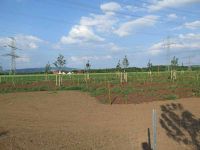 Grünzug am Umspannwerk Hochstedt