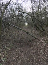 Sturmtief "Eberhard"